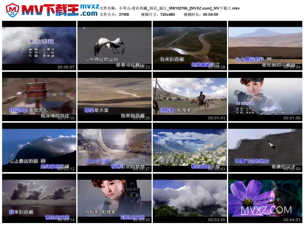 小琴儿-爱在西藏_国语_流行_MB102766